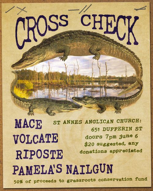 CROSS CHECK