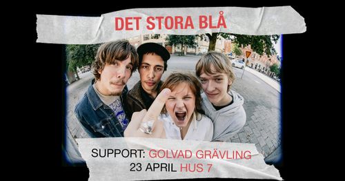 Det Stora Blå + Golvad Grävling