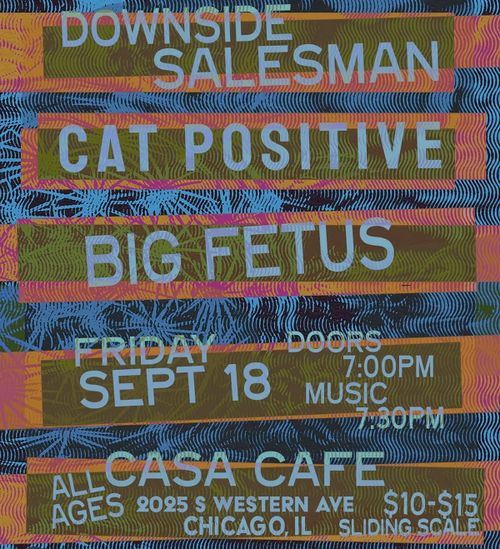 Downside Salesman / Cat Positive / Big Fetus @ Casa Cafe - - ALL AGES