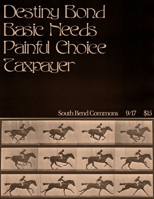 Destiny Bond, Basic Needs, Painful Choice, Taxpayer