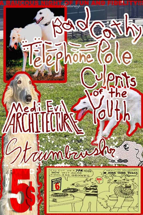 Strumbrush, Culprits of the Youth, MediEvil Architecture, Bad Cathy, Telephone Pole (Athens)
