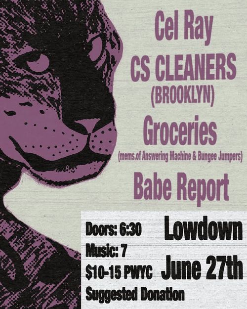 CS Cleaners (NY) w/ Cel Ray, Babe Report, and Groceries