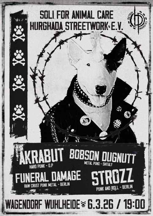 Soli-Gigs for Animal Care Hurghada Streetwork e.V