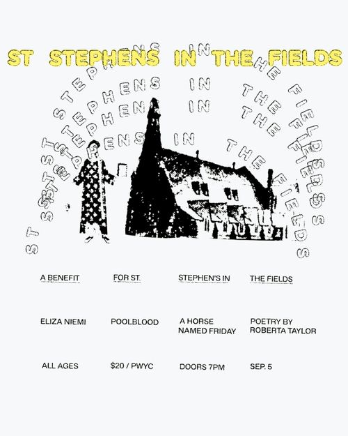 St Stephen's Benefit: Eliza Niemi / poolblood / A Horse Named Friday