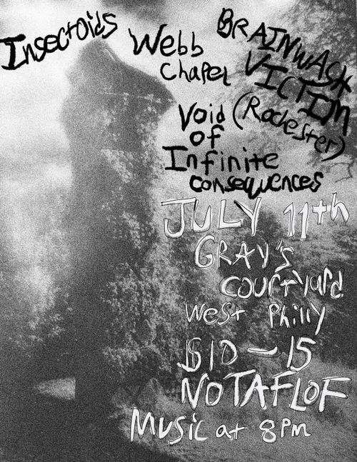 Insectoids, Webb Chapel, Brainwash Victim, Void of Infinite Consequence