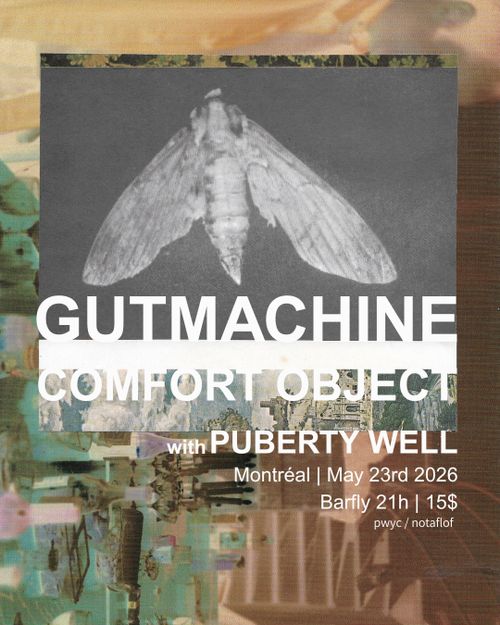 GUTMACHINE + COMFORT OBJECT + PUBERTY WELL