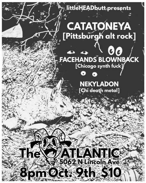 CATATONEYA, FACEHANDS BLOWNBACK, & NEKYLADON