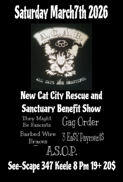 New Cat City Rescue and Sanctuary benefit show